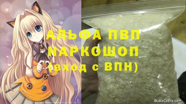 спиды Нефтекумск