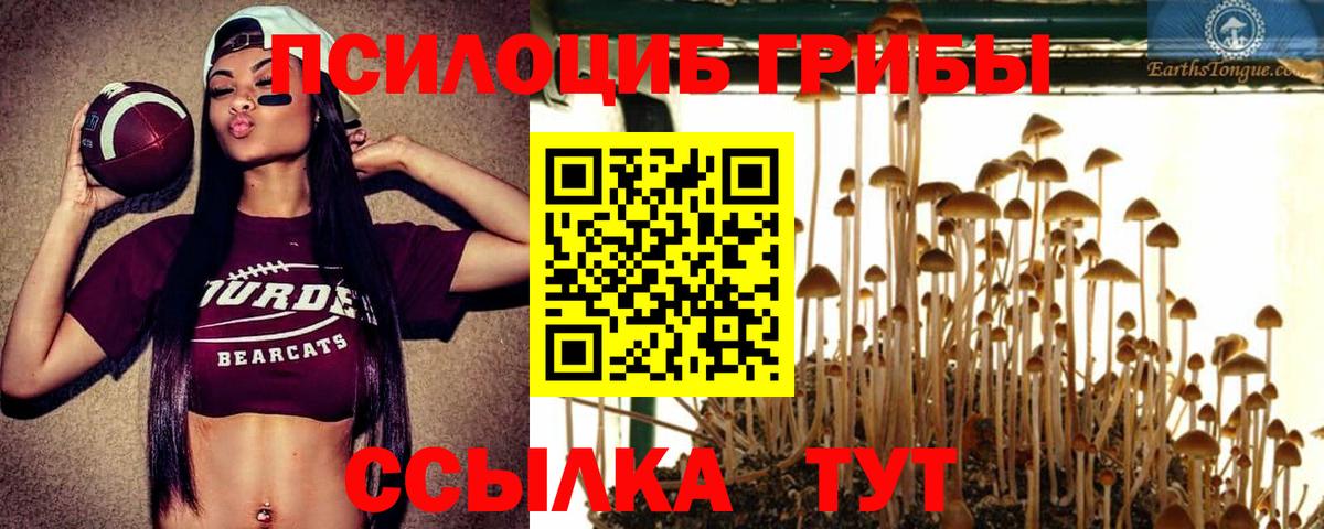 Псилоцибиновые грибы GOLDEN TEACHER Сосновый Бор